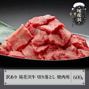 yӂ邳Ɣ[Łz󂠂 ԑ A4-5 s ؂藎Ƃ Jbg ēp 600g    R` јa Y Ⓚ  nj-ogocw600