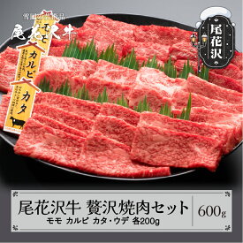 【ふるさと納税】尾花沢牛 A4-5 贅沢焼肉セット モモ カルビ カタ・ウデ 各200g 計600g 牛肉 黒毛和牛 国産 送料無料 nj-ogzys600