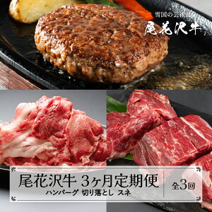 yӂ邳Ɣ[Łzԑ 3  ( no[O / 󂠂 ؂藎Ƃ / Xl ) S3 Ⓚz Y R` ԑ јa  ƒ뉞  ƌv  Hה  