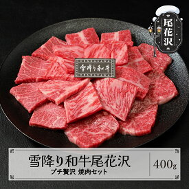 【ふるさと納税】雪降り和牛尾花沢 焼肉セット ロース・カタ・モモ・カルビ 400g 尾花沢牛肉まつりプチ贅沢焼肉セット 山形牛 国産牛 黒毛和牛 雪降り和牛 肉 お肉 ブランド牛 焼肉 焼き肉 食べ比べ 冷凍 高級 贅沢 バーベキュー 送料無料 ja-yomyx400