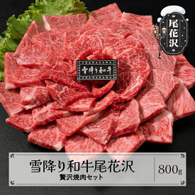 【ふるさと納税】雪降り和牛尾花沢 焼肉セット ランプ・イチボ・カタ・ロース 800g 尾花沢牛肉まつり贅沢焼肉セット山形牛 国産牛 黒毛和牛 雪降り和牛 希少部位 肉 お肉 ブランド牛 食べ比べ 焼肉 焼き肉 冷凍 高級 贅沢 バーベキュー 送料無料 ja-yomyx800