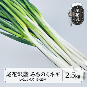 yӂ邳Ɣ[ŁzԑY ݂̂lM 2.5kg L~2LTCY 15~23{ lM ˂ K  _ƒ  kb-vgnxx25