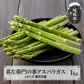 【ふるさと納税】喜左衛門 アスパラガス Lサイズ 1kg 5月上旬~発送 山形県 尾花沢産 アスパラ グリーンアスパラガス 野菜 令和8年産 2026年産 送料無料 産地直送 取り寄せ kz-vga1x1※離島への配送不可