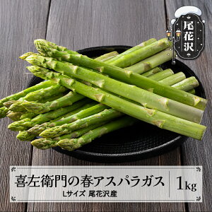 yӂ邳Ɣ[Łz썶q AXpKX LTCY 1kg 5{~ R` ԑY AXp O[AXpKX  ߘa8NY 2026NY  Yn  kz-vga1x1ւ̔z