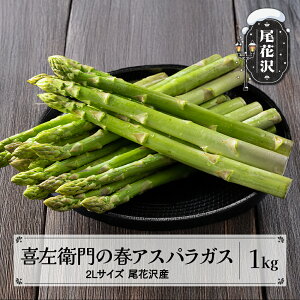 yӂ邳Ɣ[Łz썶q AXpKX 2LTCY 1kg ɑ 5{~ R` ԑY AXp O[AXpKX  ߘa8NY 2026NY  Yn  kz-vga2x1