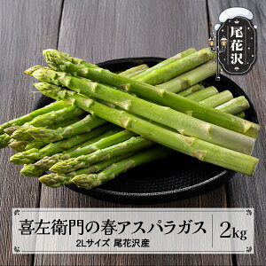 yӂ邳Ɣ[Łz썶q AXpKX 2LTCY 2kg ɑ 5{~ R` ԑY AXp O[AXpKX  ߘa8NY 2026NY  Yn  kz-vga2x2