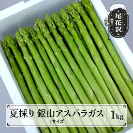 【ふるさと納税】夏採り 銀山アスパラガス Lサイズ 1kg 7月上旬~発送 令和6年産 2024年産 銀山アスパラ グリーンアスパラガス 夏 野菜 青果 山形県 nk-vga1n1※離島への配送不可