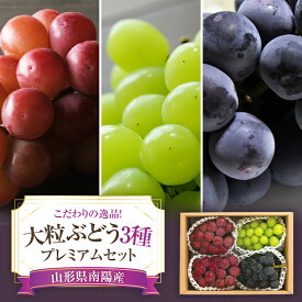 【ふるさと納税】 【令和8年産先行予約】 大粒ぶどう3種プレミアムセット 4房 《令和8年9月上旬〜発送》 『うえ木ぶどう園』 葡萄 ブドウ 果物 フルーツ デザート 食べ比べ 山形県 南陽市 [676]