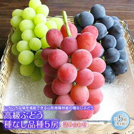 【ふるさと納税】 【令和7年産先行予約】 高級ぶどう 種なし品種 5房詰合せ 《令和7年9月中旬～発送》 『漆山果樹園』 葡萄 ぶどう ブドウ 種なし 新鮮 果物 フルーツ デザート 山形県 南陽市 [662]