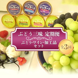 【ふるさと納税】【令和7年産先行予約】 《定期便3回》 ぶどう三昧 定期便 ～ぶどう・ワイン・加工品セット～ 《令和7年7月～発送》 『漆山果樹園』 山形県 南陽市 [393]