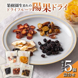 【ふるさと納税】 果樹園生まれの ドライフルーツ 「陽果ドライ」 おまかせ5個詰合せ 『漆山果樹園』 山形県 南陽市 [494]