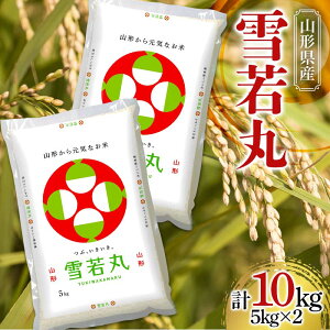 yӂ邳Ɣ[Łz yߘa7NYz JA  10kg (5kg×2) wJAR`܁x R`Y   R` zs [843]