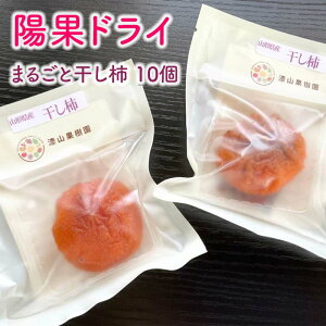 �y�ӂ邳�Ɣ[�Łz �ʎ������܂�� �퉷�����@�ō�� �u�z�ʃh���C �܂邲�Ɗ����`�v 10�� �s�ߘa7�N12����{�`�����t �w���R�ʎ����x �R�`�� ��z�s [853]