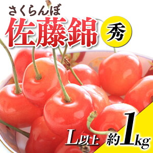 yӂ邳Ɣ[Łz yߘa8NYs\z  uсv 1kg (G Lȏ) ol sߘa8N6{`t wY҂܂x TN{ ʕ t[c Yn Y_ƒ 