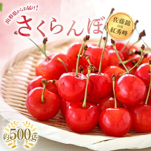 yӂ邳Ɣ[Łz yߘa8NYs\z  uт܂͍gGv 500g (G Lȏ) ol sߘa8N6{`t wzʎsx TN{ ʕ t[c R` 