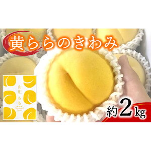 yӂ邳Ɣ[Łz yߘa8NYs\z  û݁v 2kg (6`9 G) sߘa8N9{`t wzʎsx   ʕ t[c fU[g R` zs [1044]