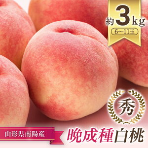yӂ邳Ɣ[Łz yߘa7NYs\z Ӑ̂ uĔEE v 3kg (6`11) sߘa7N9{`t wY  x   ʕ t[c Yn Y_