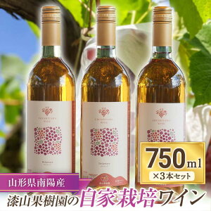 yӂ邳Ɣ[Łz ʎ܂ uRC (fEFA)v 750ml×3{Zbg wRʎx ƍ͔| R` zs [1168]