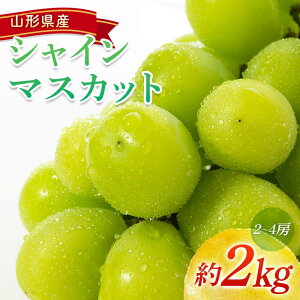 yӂ邳Ɣ[Łz yߘa7NYs\z VC}XJbg 2kg (2`4[) sߘa7N9`t wzʎsx }XJbg Ԃǂ Ȃ ʕ t[c fU[g R` zs 