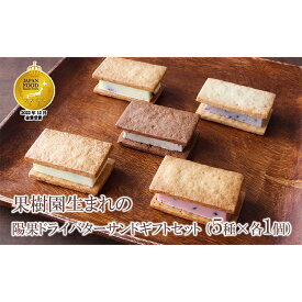 【ふるさと納税】 【ジャパン・フード・セレクション金賞受賞】果樹園生まれの 陽果ドライバターサンド ギフトセット 5種 セット 『漆山果樹園』 山形県 南陽市 [1379]