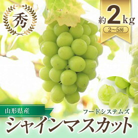 【ふるさと納税】【令和7年産先行予約】 シャインマスカット 約2kg (2～5房 秀) 《令和7年9月下旬～11月中旬発送》 『フードシステムズ』 マスカット 葡萄 ぶどう 種なし 果物 フルーツ デザート 山形県 南陽市 [1388]