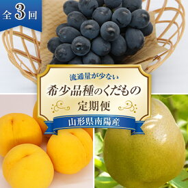 【ふるさと納税】 【令和6年産先行予約】 《定期便3回》 流通量が少ない"希少品種の" くだもの定期便 『南陽中央青果市場』 山形県 南陽市 [1407]