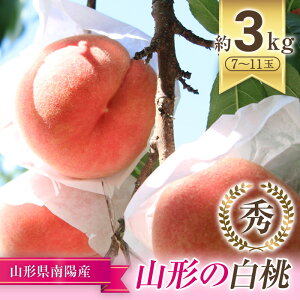 yӂ邳Ɣ[Łzyߘa8NYs\z u쒆EE܂ǂ v 3kg (7`11) sߘa8N7{`t wY  Ex   ʕ t[c Yn Y_ƒ