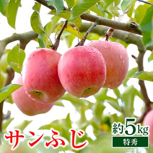 yӂ邳Ɣ[Łz yߘa7NYs\z  uTӂv 5kg (13`18 G) pbNl sߘa7N11{`t w}^j_x S R` zs [1220]