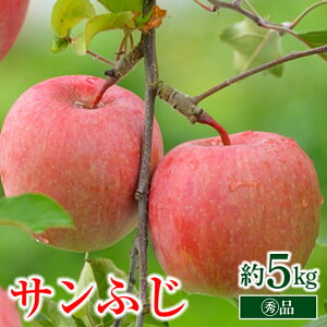yӂ邳Ɣ[Łz yߘa7NYs\z qƒpr  uTӂv 5kg (18ʁ`20 }G) pbNl sߘa7N11{`t w}^j_x S R` zs [1318]