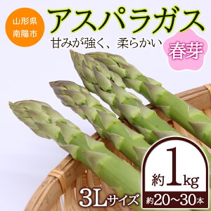 yӂ邳Ɣ[Łz yߘa8NYs\z AXpKX (t) 1kg (3LTCY 20`30{O) sߘa8N5`t wY gc x R`zY _ƒ R` zs [1526]