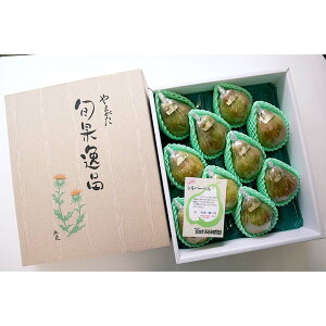 yӂ邳Ɣ[Łz yߘa7NYs\z  Vo[x 5kg (8`10 G) sߘa7N12{`t wJ_x m ʕ t[c Yn Y_ƒ R` zs [1161]