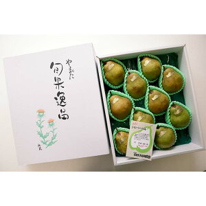 �y�ӂ邳�Ɣ[�Łz �y�ߘa7�N�Y��s�\��z ��� �V���o�[�x�� ��5kg (8�`10�� �G) �s�ߘa7�N12�����{�`�����t �w���J���_���x �m�� �ʕ� �t���[�c �Y�n���� ���Y�_�ƒ��� �R�`�� ��z�s [1162]