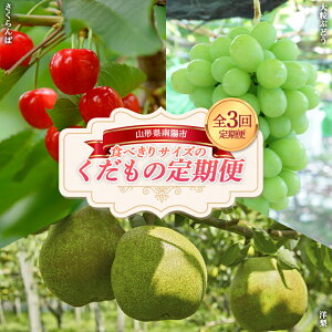 yӂ邳Ɣ[Łz yߘa8NYs\z s3t HׂTCY ̒ wzʎsx  VC}XJbg EtX ʕ t[c R` z