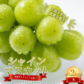 【ふるさと納税】 【令和8年産先行予約】 シャインマスカット 約2kg (3〜4房 秀) 《令和8年10月上旬〜発送》 『紺野農園』 山形県 南陽市 [1913-R8]