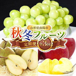 yӂ邳Ɣ[Łz yߘa8NYs\z s3t H~t[c wt[hVXeYx VC}XJbg EtX  ʕ t[c R` zs [1150-R8]