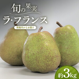 yӂ邳Ɣ[Łz yߘa7NYs\z \O sEq EtX 3kg (10`12 G) sߘa7N11{`t w{̉ʎ sEq_x tX m mȂ ʕ 