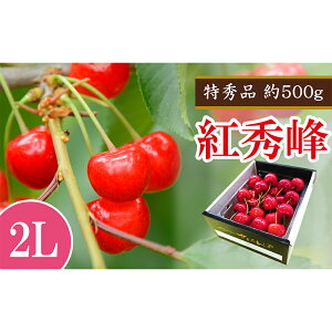 yӂ邳Ɣ[Łz yߘa8NYs\z  ugGv 500g (G 2L) sߘa8N6{`t w}Gʁx s\ TN{ ʕ t[c R` zs [1406]
