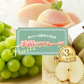 【ふるさと納税】 【令和6年産先行予約】 《定期便3回》 おいしい山形のくだもの 季節のフルーツ定期便 『NOWAフルーツ』 山形県 南陽市 [2063]