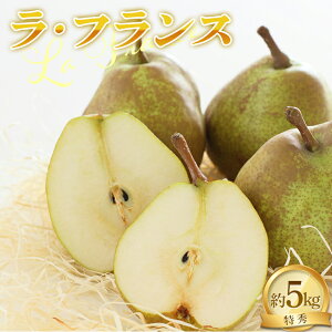 yӂ邳Ɣ[Łz yߘa7NYs\z EtX 5kg (14`16 G 3`4L) sߘa7N11{`t wNOWAt[cx tX m mȂ ʕ t[c fU[g R`zY 