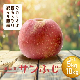 【ふるさと納税】 【令和7年産先行予約】 〈訳あり品 家庭用〉 りんご 「サンふじ」 【選べる容量】約5kg／約10kg バラ詰め 《令和7年12月上旬〜令和8年2月下旬発送》 『カネタ高橋青果』 リンゴ 山形県 南陽市 [1959]