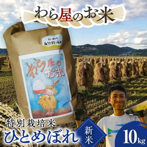 yӂ邳Ɣ[Łz yߘa7NY V s\z y牮̂āz ʍ͔| ЂƂ߂ڂ 10kg sߘa7N10{`t wm_x     _ƒ R` zs [2071-R7]