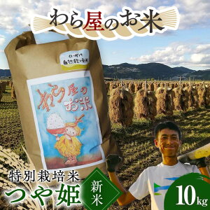 yӂ邳Ɣ[Łz yߘa7NY V s\z y牮̂āz ʍ͔| P 10kg sߘa7N10{`t wm_x     _ƒ R` zs [2168-R7]