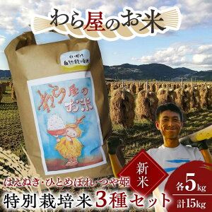 yӂ邳Ɣ[Łz yߘa7NY V s\z y牮̂āz ʍ͔|3Zbg u͂ʂEЂƂ߂ڂEPv e5kg (v15kg) sߘa7N10{`t wm_x  