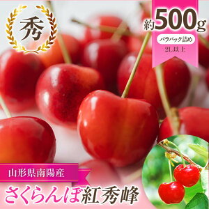 yӂ邳Ɣ[Łzyߘa8NYs\z  ugGv 500g (G 2Lȏ) opbNl sߘa8N6{`t wY  Ex TN{ ʕ t[c Yn Y