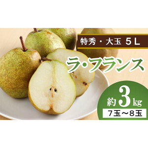 yӂ邳Ɣ[Łz yߘa8NYs\z ʃEtX 3kg (7`8 G 5L) sߘa8N10{`t wY V Tx tX m mȂ ʕ t[c fU[g R`