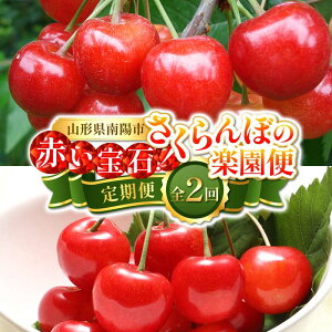 【ふるさと納税】 【令和8年産先行予約】 《定期便2回》 赤い宝石!さくらんぼの楽園便 「佐藤錦・紅秀峰」 各約800g (約200g×4パック 秀 L以上) 『フードシステムズ』 サクランボ 果物 フルー