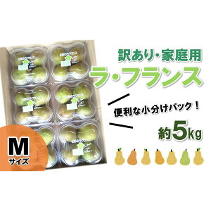 yӂ邳Ɣ[Łzyߘa7NYs\zq󂠂i ƒpr EtX 5kg (4×6pbN MTCY) sߘa7N11{`t wc_x tX m mȂ ʕ t[c f