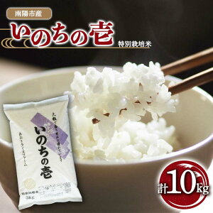 yӂ邳Ɣ[Łz y܎ܔ_Ɓz ߘa7NY ʍ͔| ̂̈ v10kg (5kg×2) wCXt@[x R`zY     _ƒ R` zs [2403]