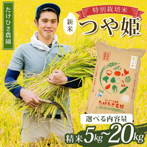 yӂ邳Ɣ[Łz sIׂeʁtyߘa7NY V s\z ʍ͔| P () 5kg/10kg (5kg×2)/20kg (5kg×4) sߘa7N9{`t wЂ_x R`zY    