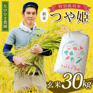 yӂ邳Ɣ[Łz yߘa7NY V s\z ʍ͔| P () 30kg sߘa7N9{`t wЂ_x R`zY   _ƒ R` zs [2364-R7]